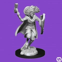 Wizkids Dungeons & Dragons: Nolzur's Marvelous Miniatures Wave 14 - Changeling Cleric