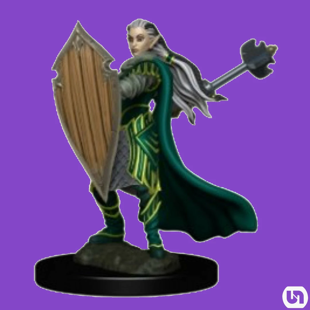 Promo π Wizkids Dungeons & Dragons: Icons Of The Realms Premium Miniatures - Elf Paladin Female π 3 Wizkids Dungeons & Dragons: Icons Of The Realms Premium Miniatures - Elf Paladin Female