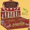 Legend Story Studios Flesh & Blood TCG: Everfest First Printing Booster Box TCGs