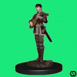 Wizkids Dungeons & Dragons: Icons Of The Realms Premium Miniatures - Half-Elf Bard Female