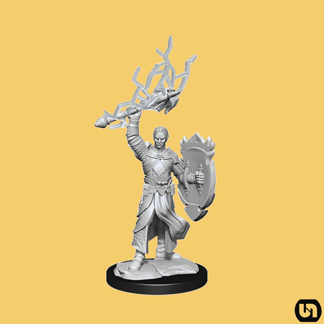 Promo π― Wizkids Dungeons & Dragons: Nolzur's Marvelous Miniatures Wave 14 - Half-Elf Paladin π 3 Wizkids Dungeons & Dragons: Nolzur's Marvelous Miniatures Wave 14 - Half-Elf Paladin