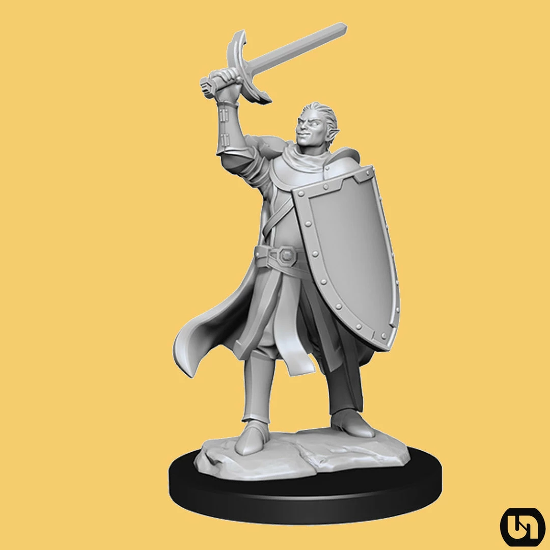 Promo π― Wizkids Dungeons & Dragons: Nolzur's Marvelous Miniatures Wave 14 - Half-Elf Paladin π 4 Wizkids Dungeons & Dragons: Nolzur's Marvelous Miniatures Wave 14 - Half-Elf Paladin