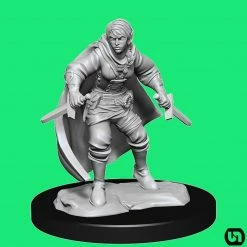 Wizkids Dungeons & Dragons: Nolzur's Marvelous Miniatures Wave 14 - Half-Elf Rogue Female