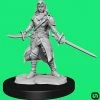 Outlet π₯ Wizkids Dungeons & Dragons: Nolzur's Marvelous Miniatures Wave 14 - Half-Elf Rogue Female π₯ 2 Wizkids Dungeons & Dragons: Nolzur's Marvelous Miniatures Wave 14 - Half-Elf Rogue Female