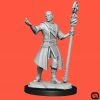 Wizkids Dungeons & Dragons: Nolzur's Marvelous Miniatures Wave 14 - Half-Elf Wizard Male