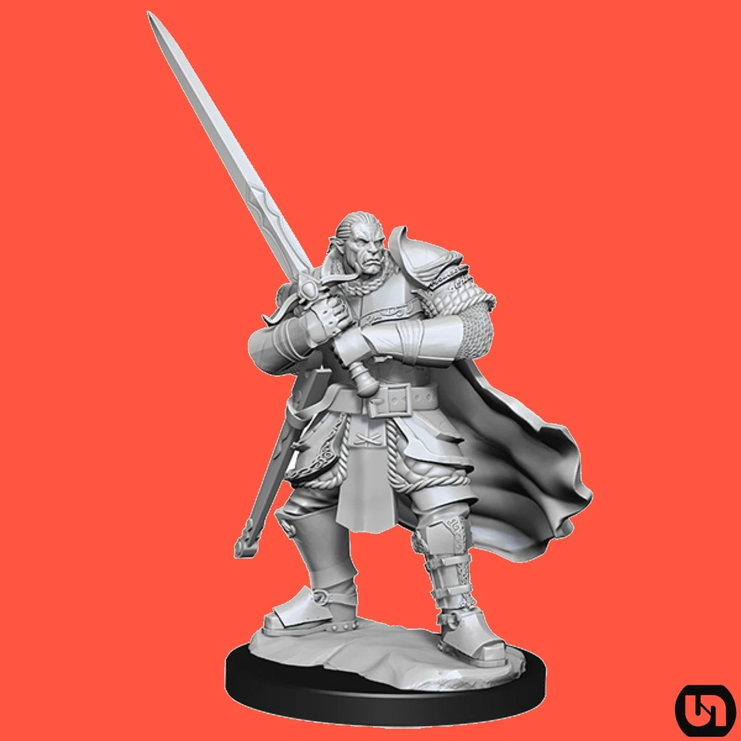 Coupon 𧨠Wizkids Dungeons & Dragons: Nolzur's Marvelous Miniatures Wave 15 - Half-Orc Paladin π 4 Wizkids Dungeons & Dragons: Nolzur's Marvelous Miniatures Wave 15 - Half-Orc Paladin