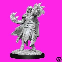Wizkids Dungeons & Dragons: Nolzur's Marvelous Miniatures Wave 15 - Hobgoblin Fighter & Hobgoblin Wizard