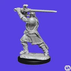 Wizkids Dungeons & Dragons: Nolzur's Marvelous Miniatures Wave 14 - Human Paladin Male