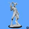Wizkids Dungeons & Dragons: Nolzur's Marvelous Miniatures Wave 15 - Nightwalker