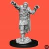 Promo 🎉 Wizkids Dungeons & Dragons: Nolzur's Marvelous Miniatures Wave 14 - Scarecrow & Stone Cursed ⌛ 2 Wizkids Dungeons & Dragons: Nolzur's Marvelous Miniatures Wave 14 - Scarecrow & Stone Cursed