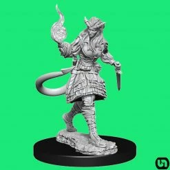Wizkids Dungeons & Dragons: Nolzur's Marvelous Miniatures Wave 15 - Tiefling Sorcerer